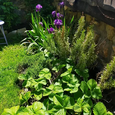 La Margarita Сasa de vacaciones *