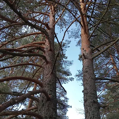 Сasa de vacaciones La Margarita