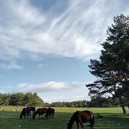 La Margarita Hoyo de la Guija