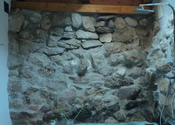 La Margarita *